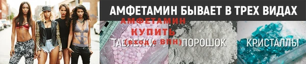 сатива Корсаков