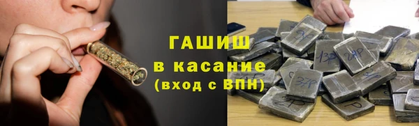 сатива Корсаков
