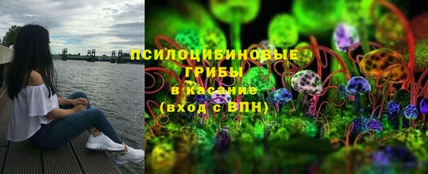 спиды Костерёво