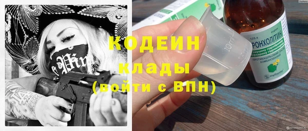 сатива Корсаков