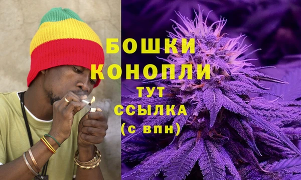 сатива Корсаков