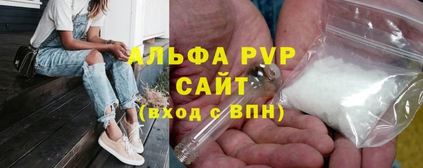 сатива Корсаков