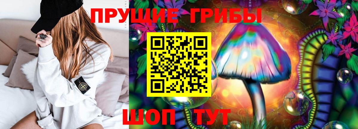 где можно купить   Галлюциногенные грибы GOLDEN TEACHER  Вход с VPN  Сыктывкар 