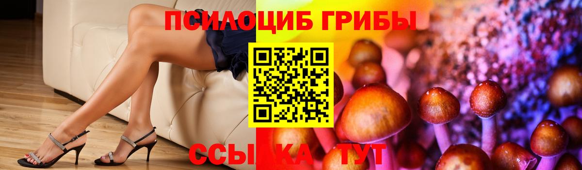 Галлюциногенные грибы GOLDEN TEACHER Сыктывкар