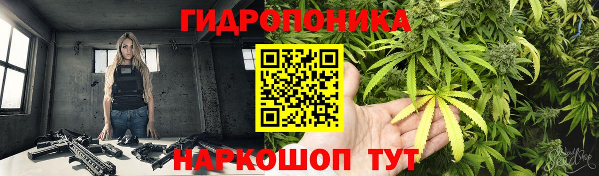 Сыктывкар  Канабис ГИДРОПОН  Канабис AK-47  Шишки марихуана конопля  Вход с VPN 